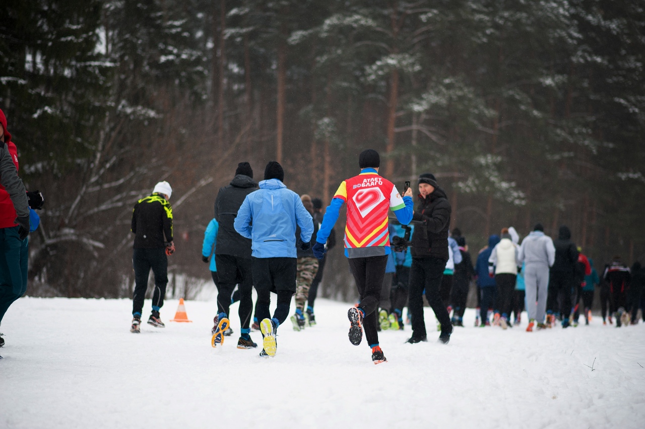 Трейл-кросс "Химкинский лес"