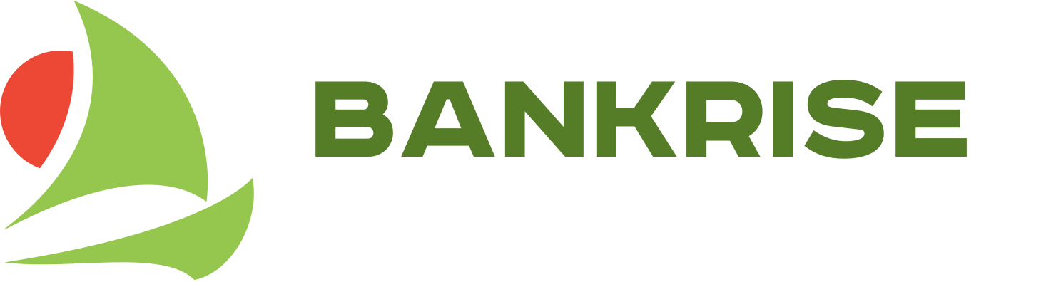 BANKRISE - юридическое сопровождение бизнеса